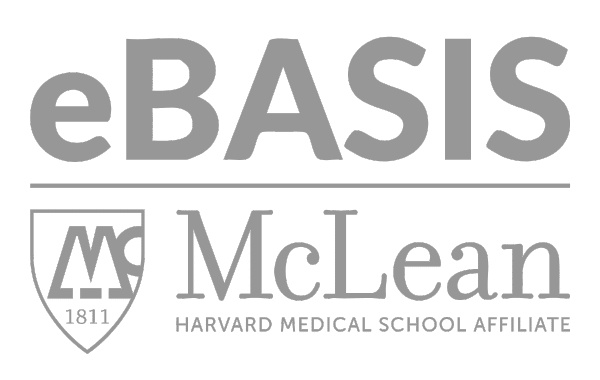 eBasis Logo - Grey (1)